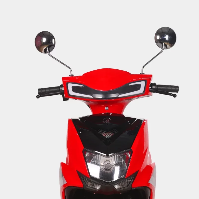 rudra redd1 (3)